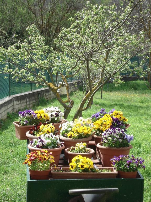Abruzzo Segreto Bed & Breakfast Navelli Exterior photo